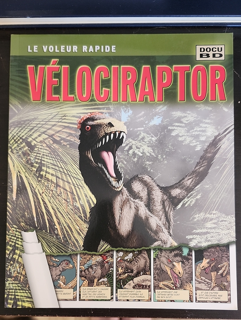 VƩlociraptor Reptile Book - Green Cover